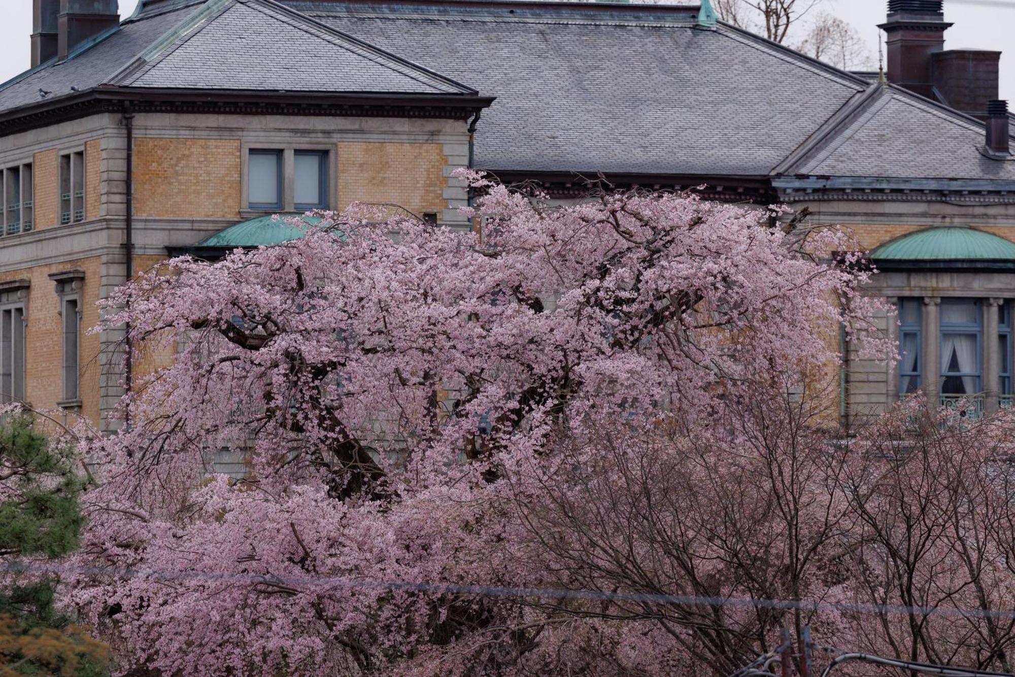 Hotel Chourakukan Kyoto Gion 長楽館 Εξωτερικό φωτογραφία